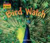 Go to record Bird watch