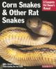 Go to record Corn snakes and other rat snakes : everything about acquir...