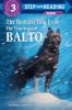 Go to record The bravest dog ever : the true story of Balto