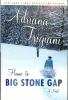 Go to record Home to Big Stone Gap : a novel