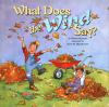 Go to record What does the wind say?