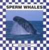 Go to record Sperm whales
