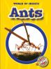 Go to record Ants