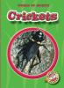Go to record Crickets