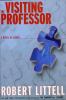 Go to record The visiting professor : a novel