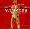 Go to record Muscles : the muscular system