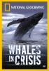 Go to record Whales in crisis