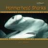 Go to record Hammerhead sharks