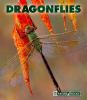 Go to record Dragonflies