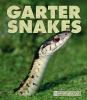 Go to record Garter snakes