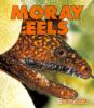 Go to record Moray eels