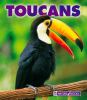 Go to record Toucans