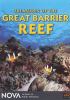 Go to record Treasures of the Great Barrier Reef