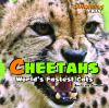 Go to record Cheetahs : world's fastest cats