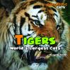 Go to record Tigers : world's largest cats