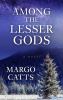 Go to record Among the lesser gods : a novel