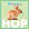 Go to record Bunnies hop