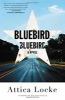 Go to record Bluebird, bluebird : a novel