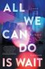 Go to record All we can do is wait : a novel