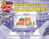 Go to record What makes a blizzard?
