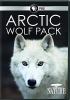 Go to record Arctic wolf pack