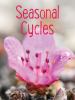 Go to record Seasonal cycles