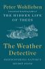 Go to record The weather detective : rediscovering nature's secret signs