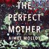 Go to record The perfect mother : a novel