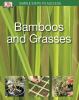 Go to record Bamboos and grasses