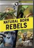Go to record Natural born rebels