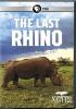 Go to record The last rhino