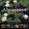 Go to record Algonquin souvenir
