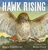 Go to record Hawk rising