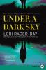 Go to record Under a dark sky : a novel