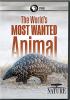Go to record The world's most wanted animal