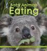 Go to record Baby animals eating