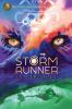 Go to record The storm runner