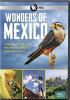 Go to record Wonders of Mexico