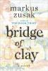 Go to record Bridge of Clay : a novel