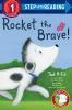 Go to record Rocket the brave!