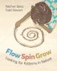 Go to record Flow, spin, grow : looking for patterns in nature