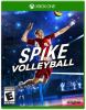 Go to record Spike volleyball