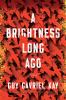 Go to record A brightness long ago : a novel