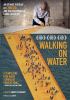 Go to record Walking on water