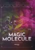 Go to record Magic molecule