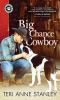 Go to record Big Chance cowboy