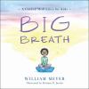 Go to record Big breath : a guided meditation for kids