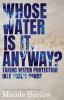 Go to record Whose water is it anyway? : taking water protection into p...