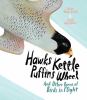 Go to record Hawks kettle, puffins wheel : and other poems in flight