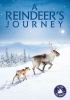 Go to record A reindeer's journey